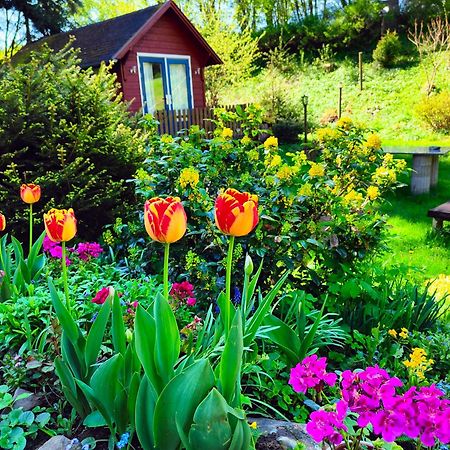 Bed And Breakfast Tvrz Velka Bukovina Exterior photo