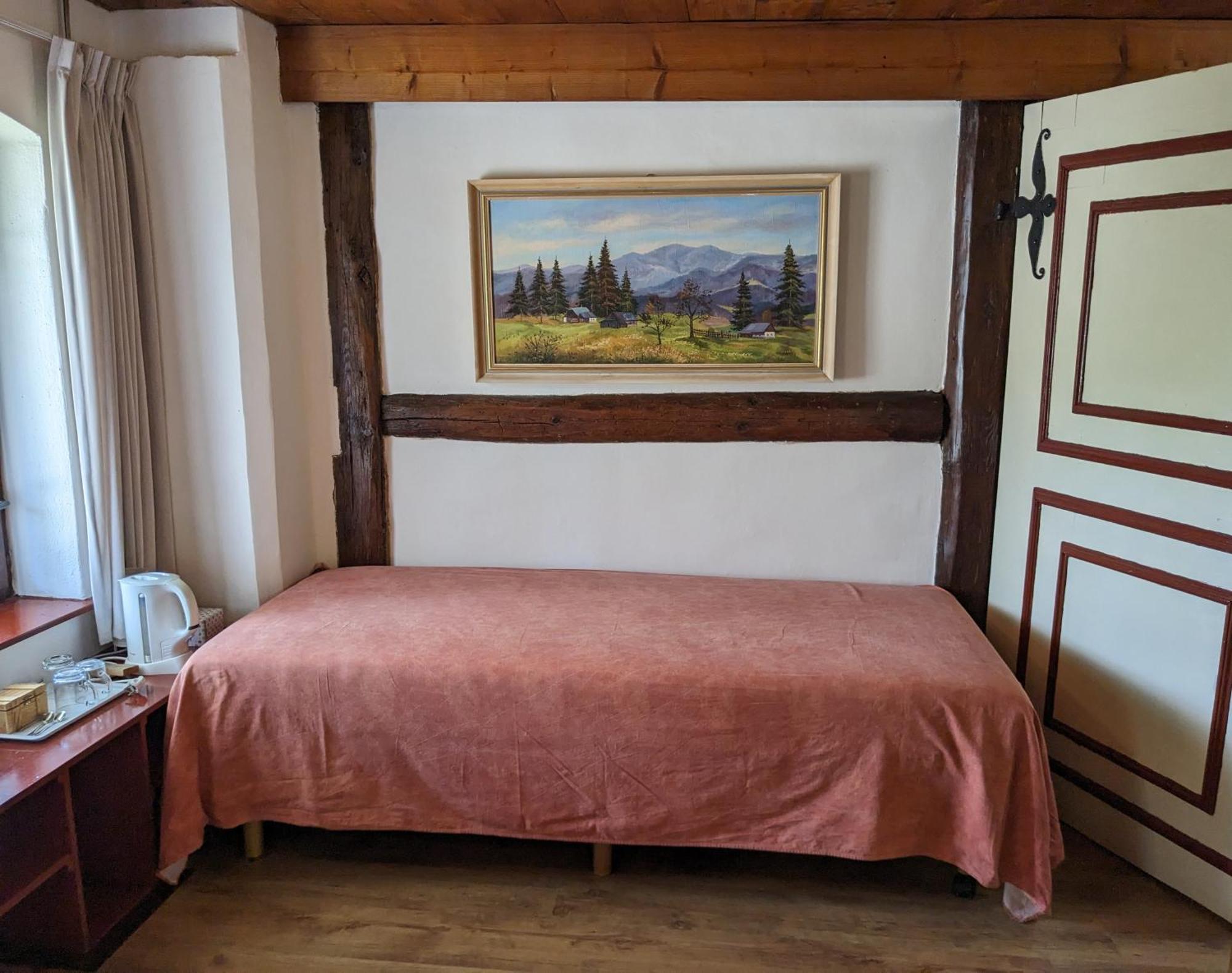 Bed And Breakfast Tvrz Velka Bukovina Exterior photo