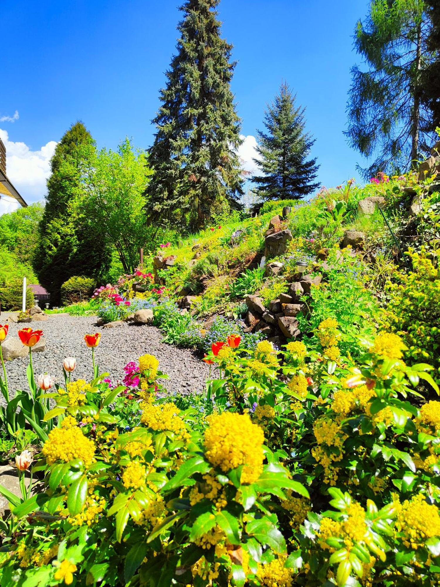 Bed And Breakfast Tvrz Velka Bukovina Exterior photo